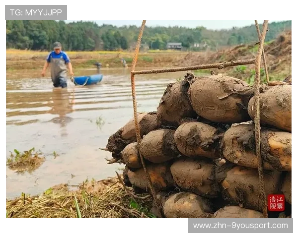 ¦ó+¡-++°+¿¦¯-À-+ããÐÁ-Àðº--¦ß+²ú¼Í·-ªÀµ¤¯-++ºÁ-+Ï+_+õã¸